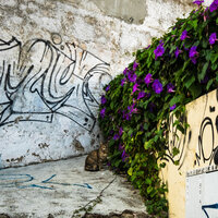 /gallery/scale/1759441794-2428822-728-sq.jpg