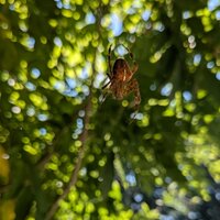 /gallery/scale/1759813270-2526846-708-sq.jpg