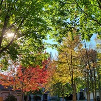 /gallery/scale/1759906807-2557055-107-sq.jpg