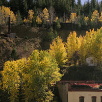 /gallery/scale/1759976827-2580350-793-sq.jpg