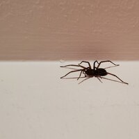 /gallery/scale/1759982548-2582840-406-sq.jpg
