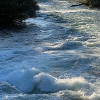 /gallery/scale/1760052879-2604187-830-sq.jpg