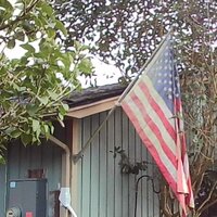 /gallery/scale/1760069863-2609159-159-sq.jpg
