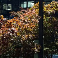 /gallery/scale/1760079321-2611423-889-sq.jpg