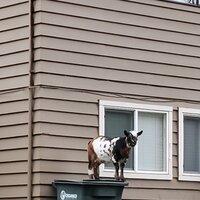 /gallery/scale/1760101805-2617744-785-sq.jpg