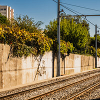 /gallery/scale/1760125908-2625724-376-sq.jpg