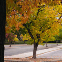 /gallery/scale/1760136077-2629018-702-sq.jpg