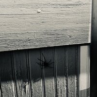 /gallery/scale/1760157920-2635520-68-sq.jpg