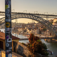 /gallery/scale/1760216859-2653288-590-sq.jpg