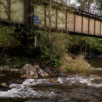 /gallery/scale/1760312646-2680983-222-sq.jpg