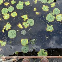 /gallery/scale/1760327114-2685772-358-sq.jpg