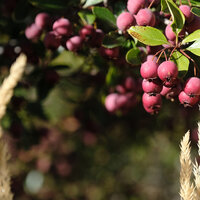 /gallery/scale/1760403482-2707147-247-sq.jpg