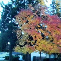 /gallery/scale/1760502650-2733163-313-sq.jpg