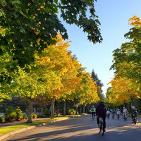 /gallery/scale/1760550333-2745302-54-sq.jpg
