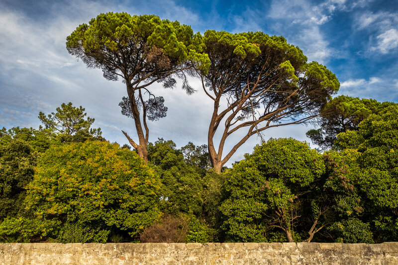 tagisu - tagtober - 1760566898-2749427-568