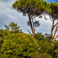 /gallery/scale/1760566898-2749427-568-sq.jpg