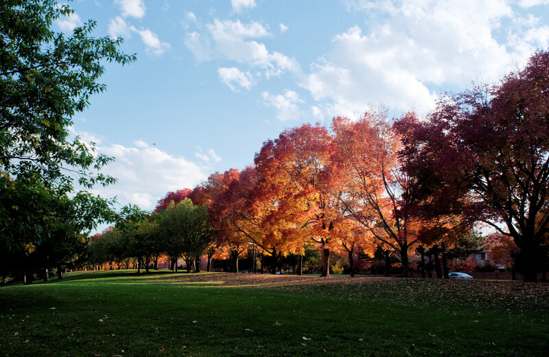 tagisu - tagtober - 1760577274-2752010-270