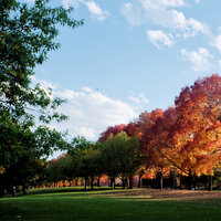 /gallery/scale/1760577274-2752010-270-sq.jpg