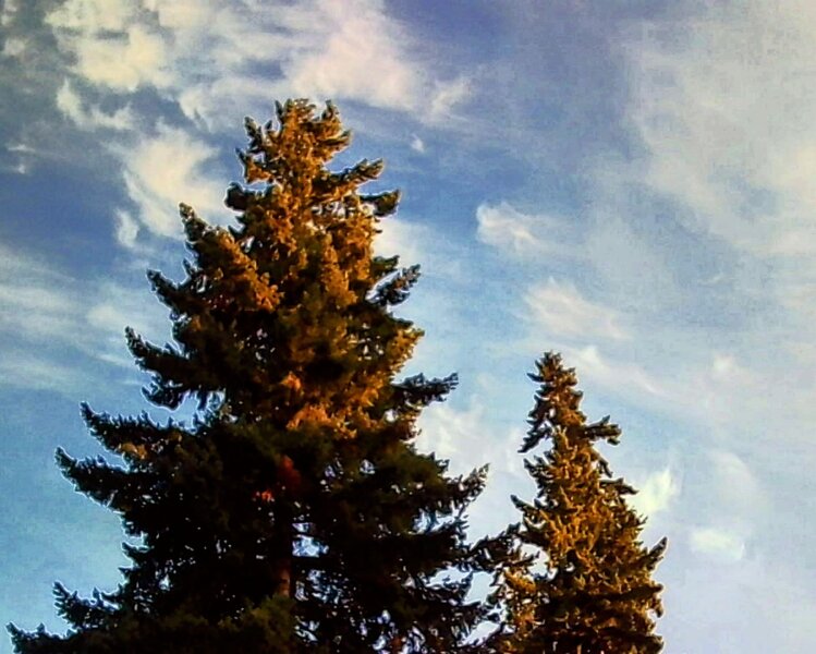 tagisu - tagtober - 1760578015-2752184-64