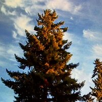 /gallery/scale/1760578015-2752184-64-sq.jpg