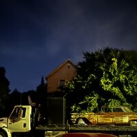 /gallery/scale/1760582612-2753391-424-sq.jpg