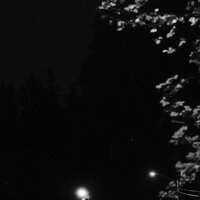 /gallery/scale/1760586689-2754450-349-sq.jpg