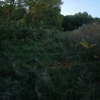 /gallery/scale/1760660233-2771947-702-sq.jpg