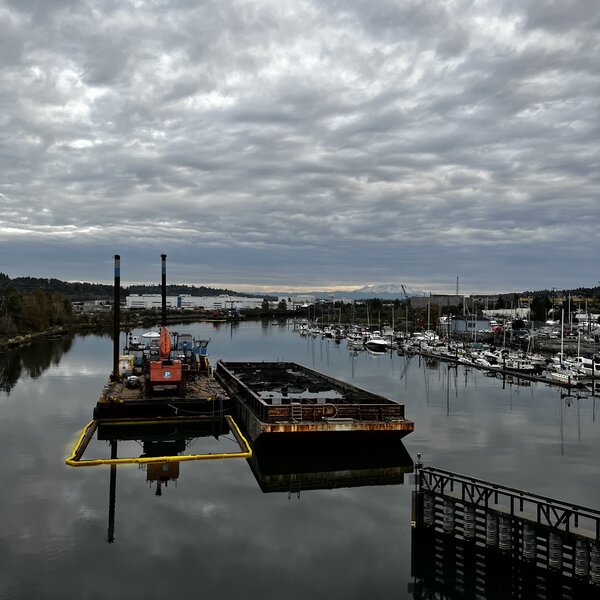 tagisu - tagtober - 1760660872-2772103-72