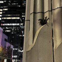 /gallery/scale/1760851030-2821376-406-sq.jpg
