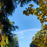 /gallery/scale/1760926648-2841299-97-sq.jpg