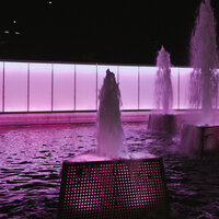 /gallery/scale/1761012596-2897167-442-sq.jpg