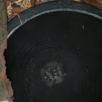 /gallery/scale/1761014088-2897595-206-sq.jpg