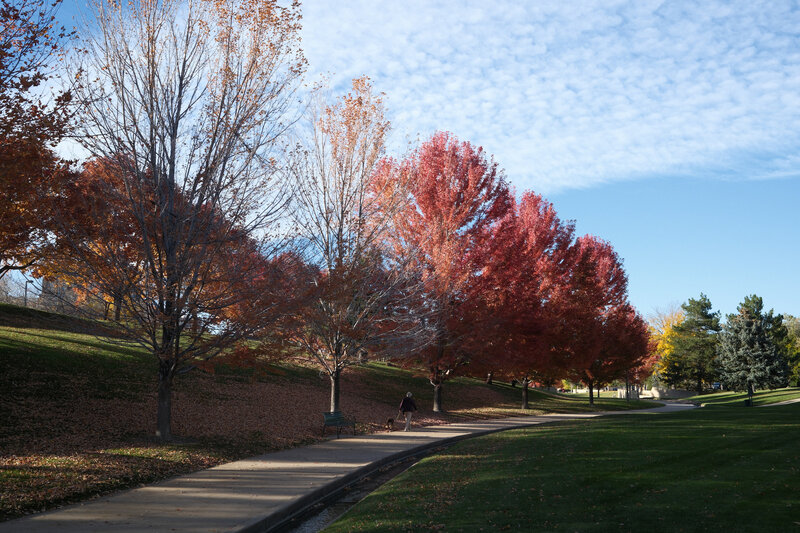 tagisu - tagtober - 1761088880-2917396-737