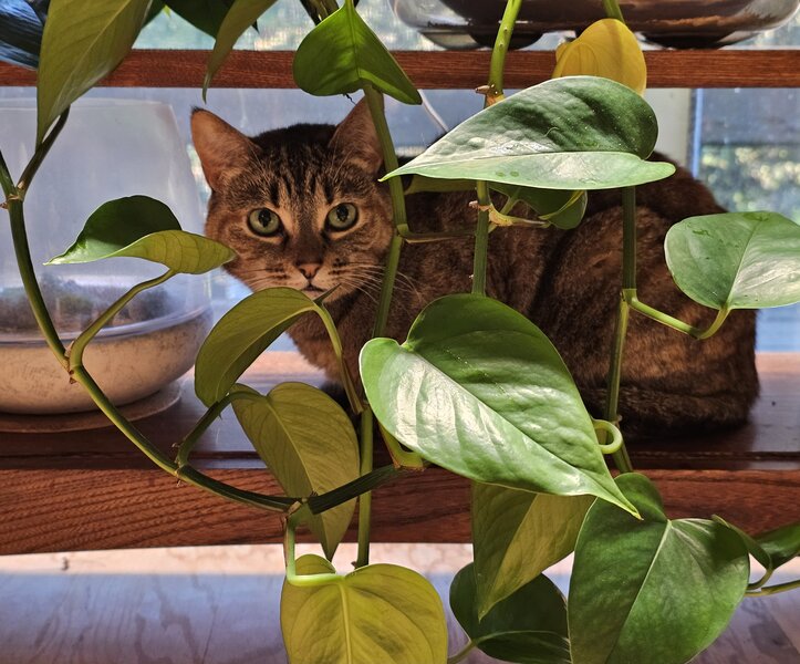 tagisu - tagtober - 1761178312-2941701-620