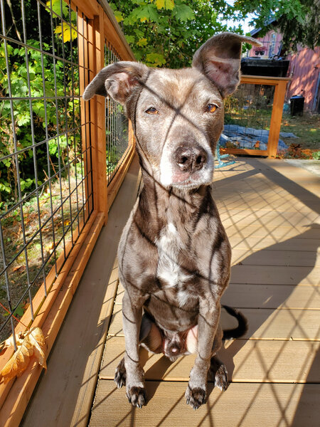 tagisu - tagtober - 1761180785-2942578-691