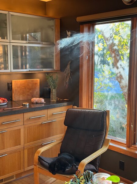 tagisu - tagtober - 1761257258-2963940-783