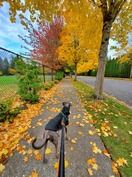 tagisu - tagtober - 1761262811-2965455-163