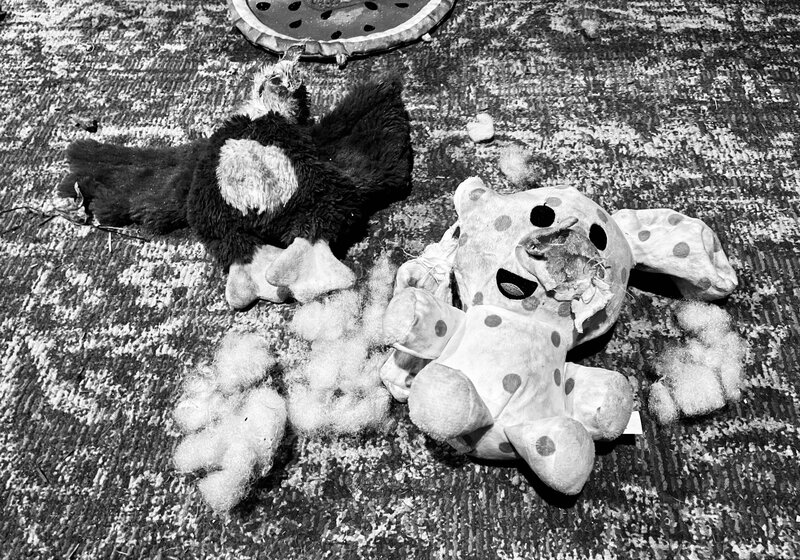 tagisu - tagtober - 1761279123-2970732-308