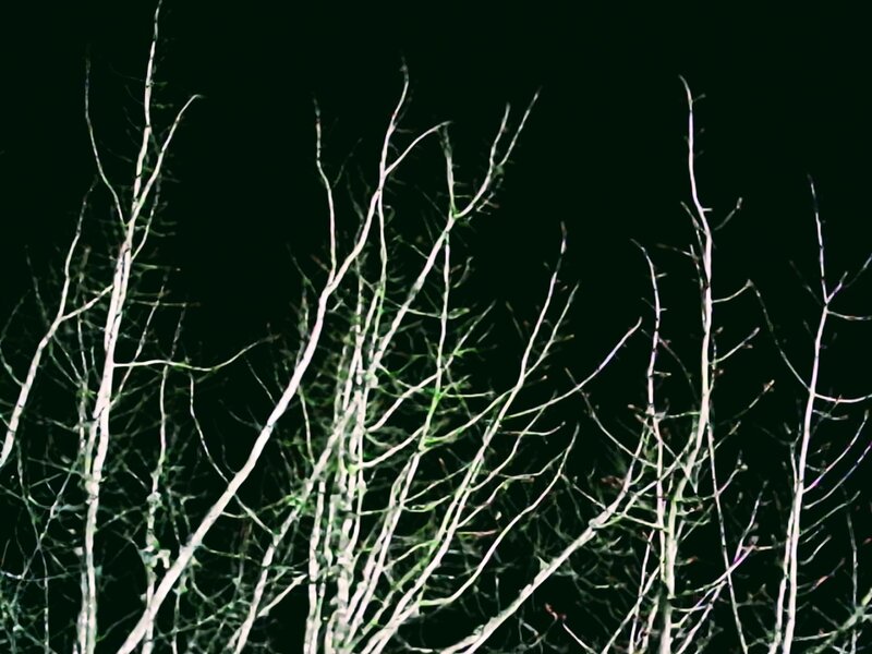 tagisu - tagtober - 1761285749-2972981-737