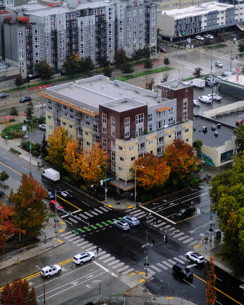 tagisu - tagtober - 1761370855-2997891-822