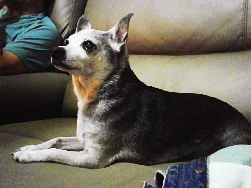 tagisu - tagtober - 1761373576-2998757-753