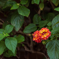 /gallery/scale/1761435265-3015375-205-sq.jpg