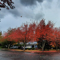 /gallery/scale/1761445292-3017847-124-sq.jpg