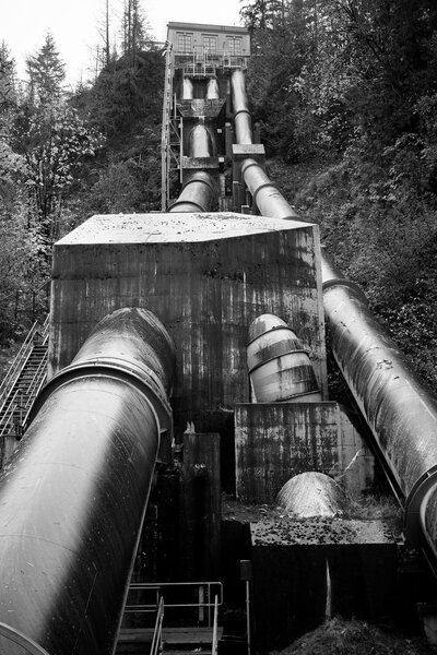 tagisu - tagtober - 1761515193-3035790-345