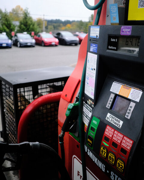 tagisu - tagtober - 1761539781-3042307-166