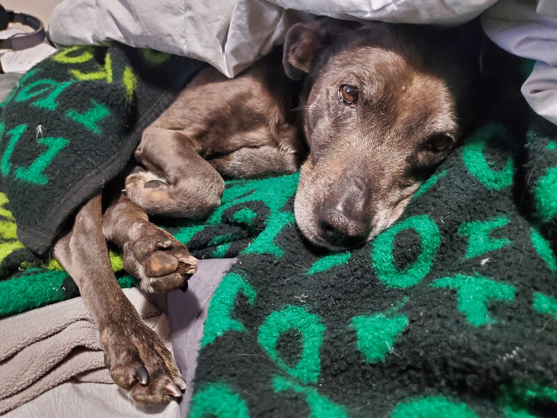 tagisu - tagtober - 1761547693-3044411-717