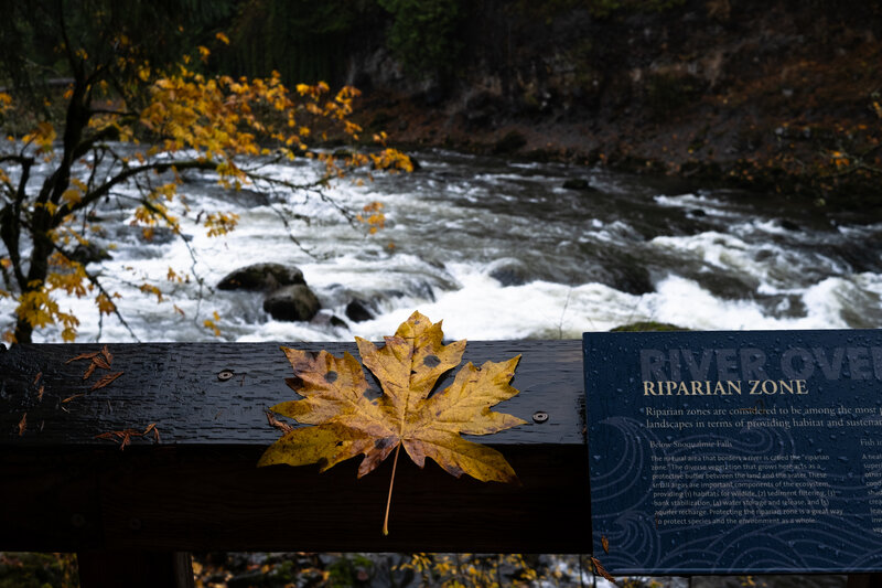 tagisu - tagtober - 1761574614-3051666-787