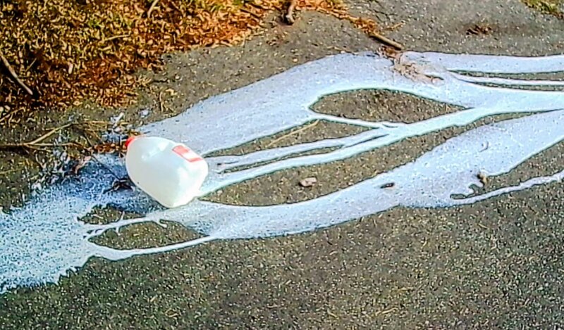 tagisu - tagtober - 1761606134-3062037-882