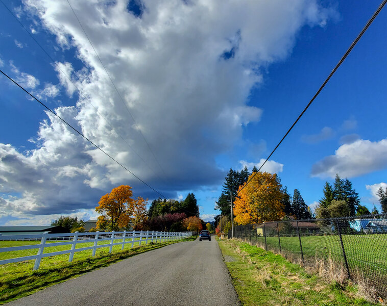 tagisu - tagtober - 1761616731-3064593-892