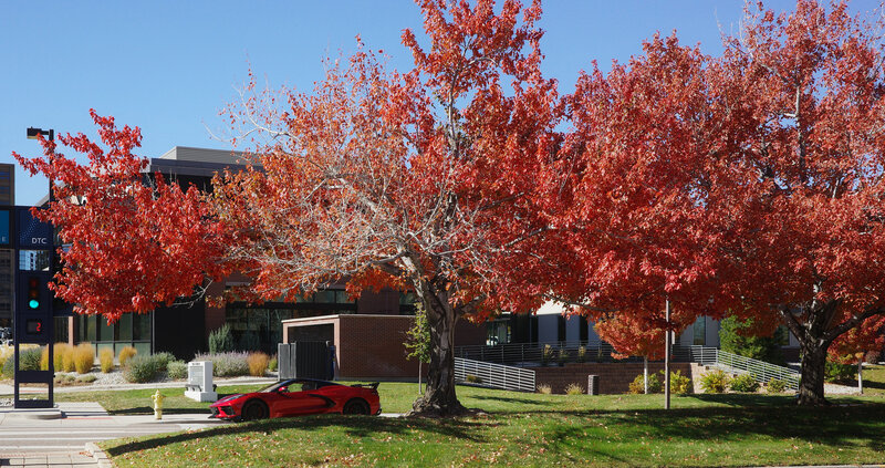 tagisu - tagtober - 1761697386-3085688-326